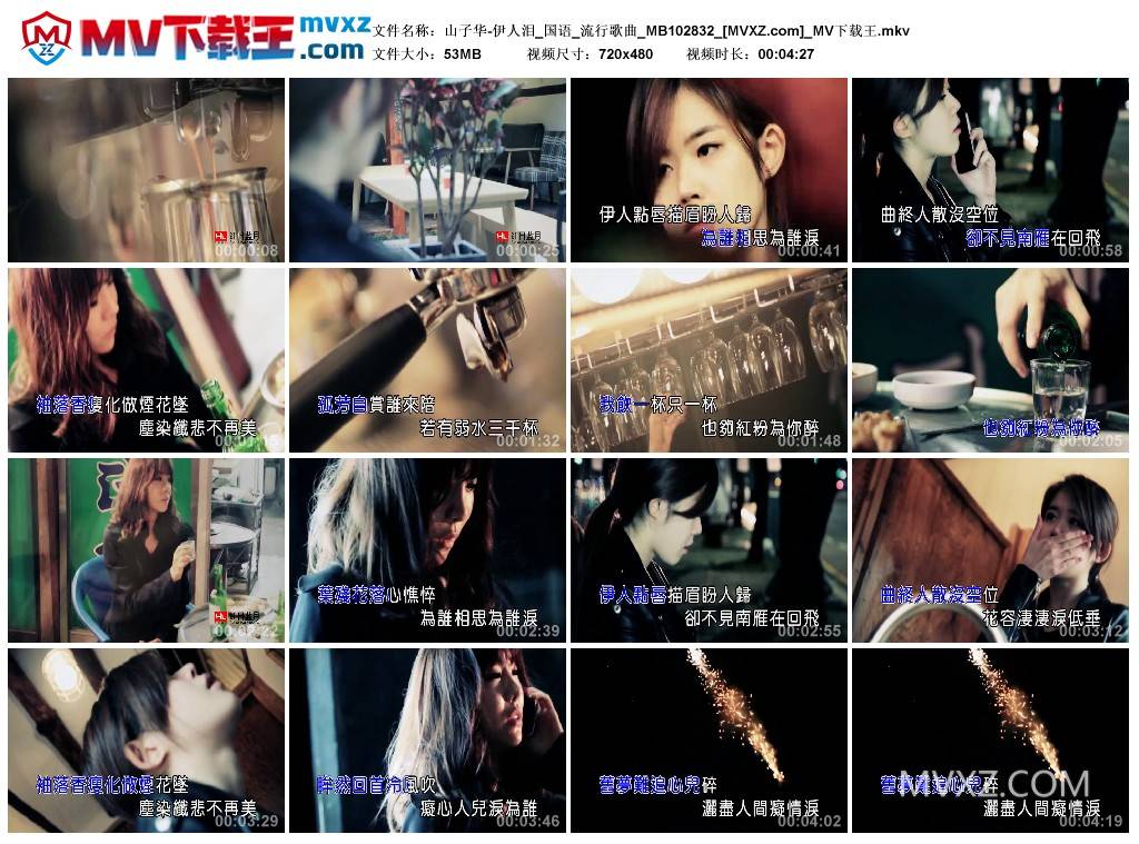 山子华-伊人泪_国语_流行歌曲_MB102832